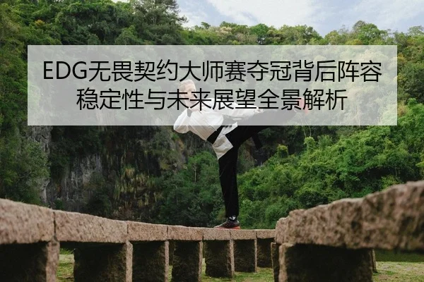 EDG无畏契约大师赛夺冠背后阵容稳定性与未来展望全景解析